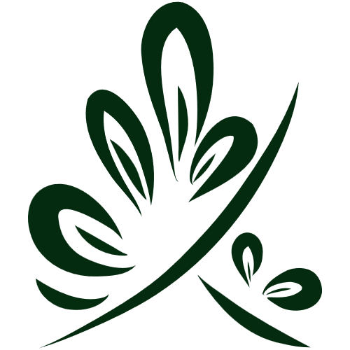 Your Balanced Adventure Logo