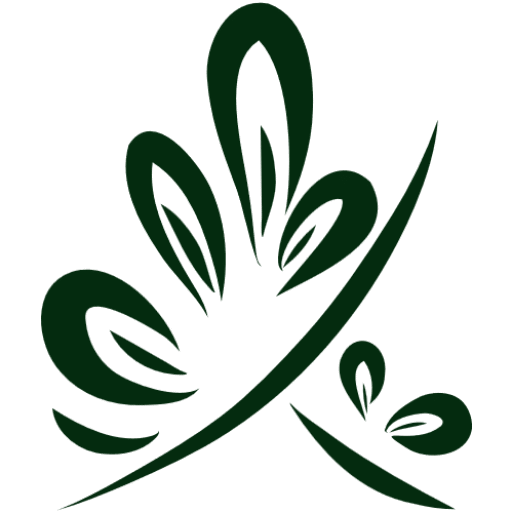 Your Balanced Adventure Logo